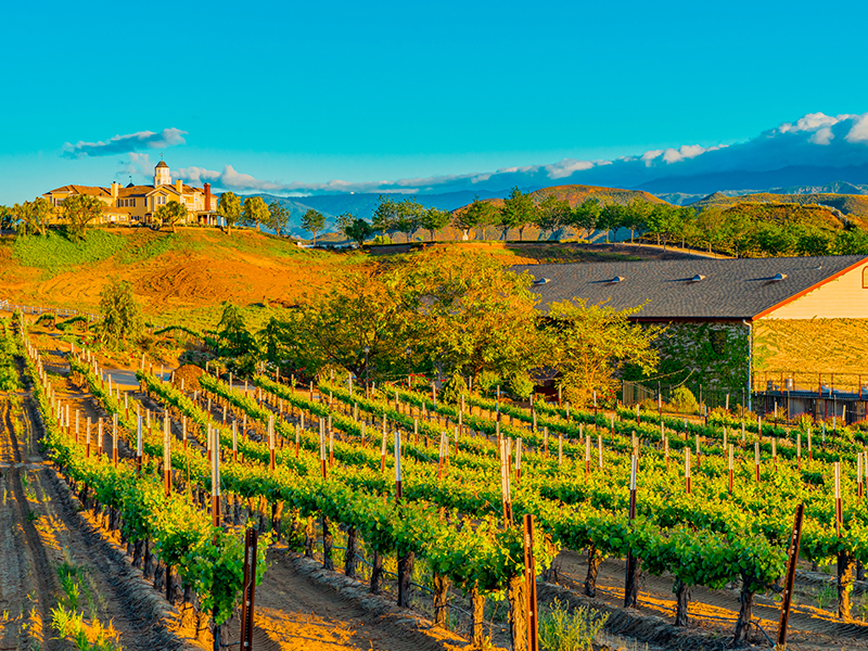 Temecula
